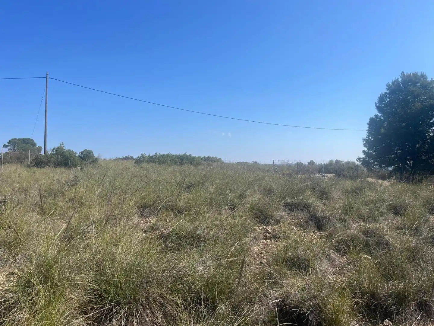 Terreni e lotti in vendita a Almansa, imagen 3