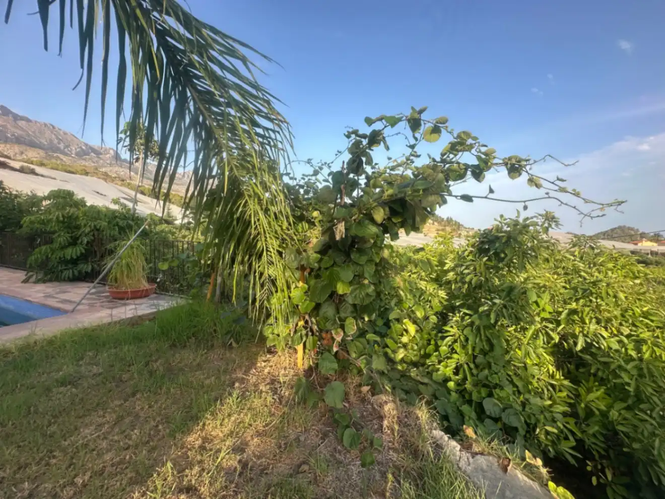 Finca rústica en venta en Callosa d'en Sarrià con Jardín privado, Terraza y Trastero
