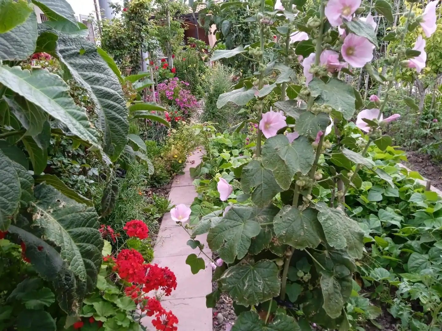 Jardín de Casa o chalet en venta en Cuevas del Becerro con Aire acondicionado, Calefacción y Jardín privado