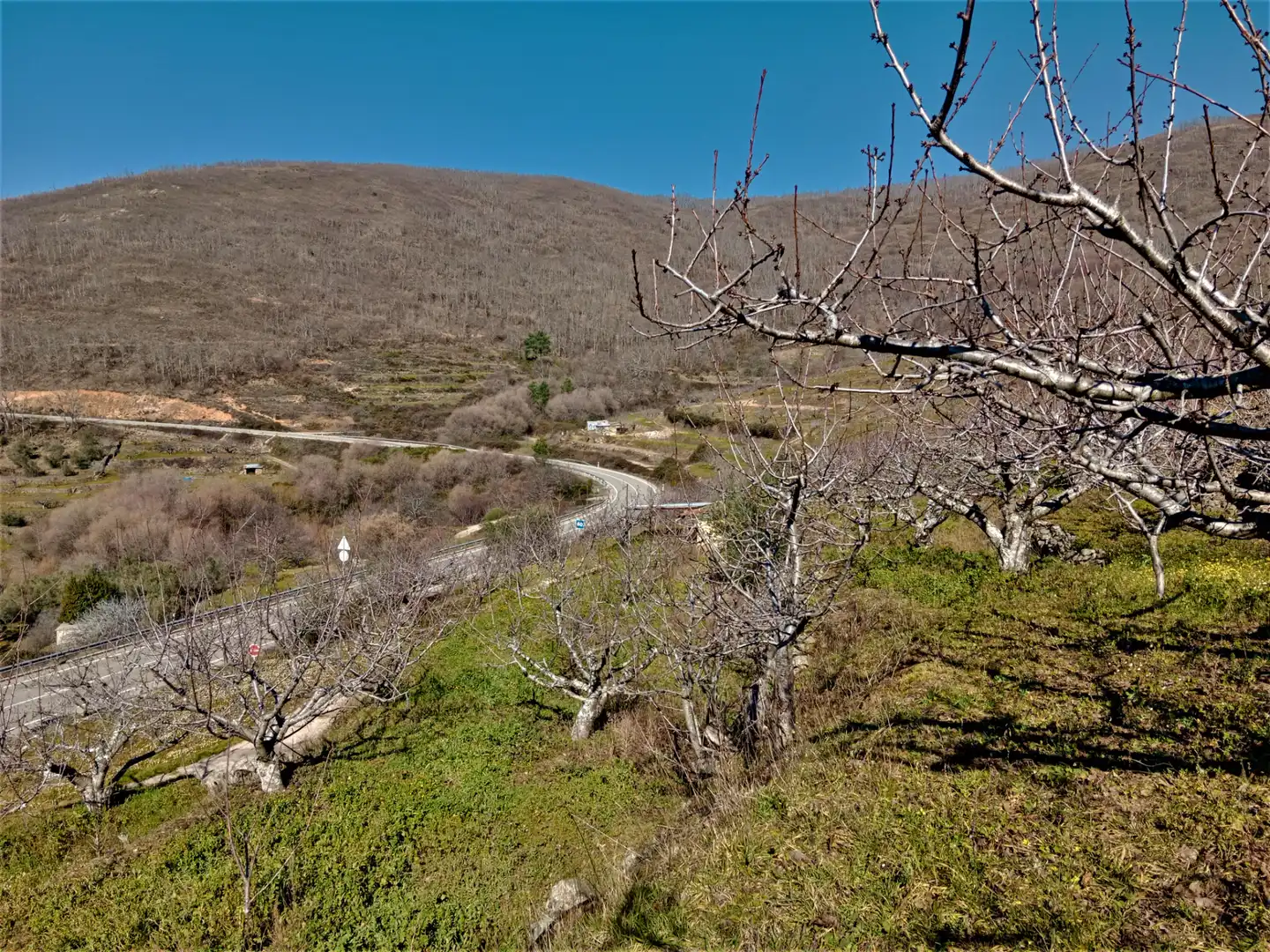 Terreni e lotti in vendita a Barrado, imagen 18