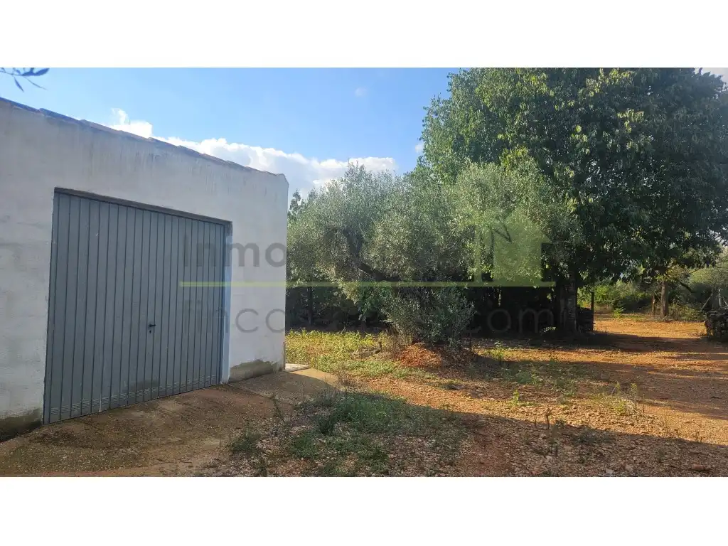 Maison rustique avec terrasse à vendre à Ulldecona, imagen 32