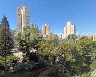 Vista exterior de Estudi en venda en Benidorm amb Aire condicionat i Piscina