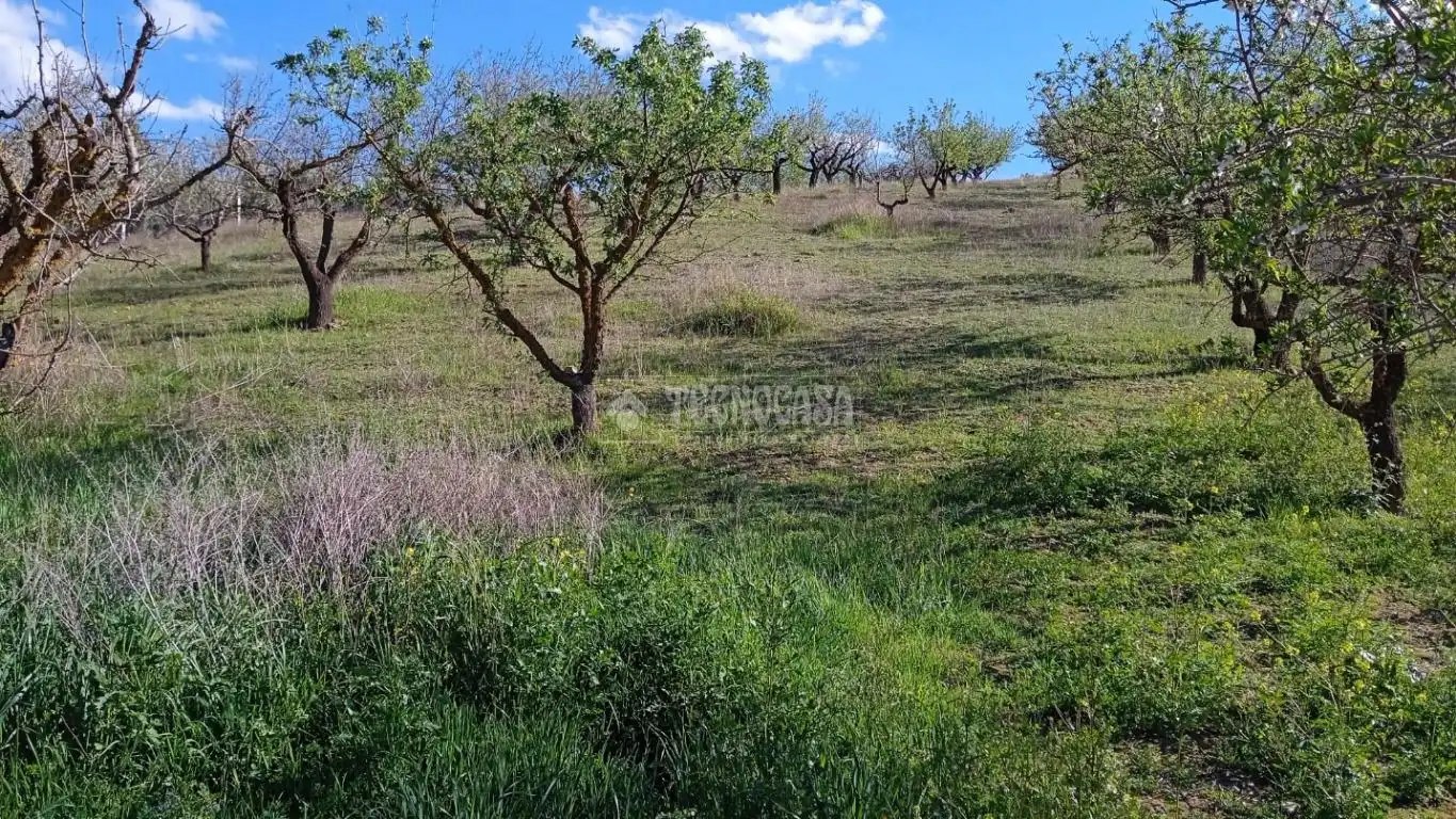 Terreny en venda en Gójar