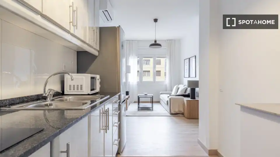 Cuina de Apartament per a compartir en Barcelona amb Aire condicionat, Calefacció i Terrassa
