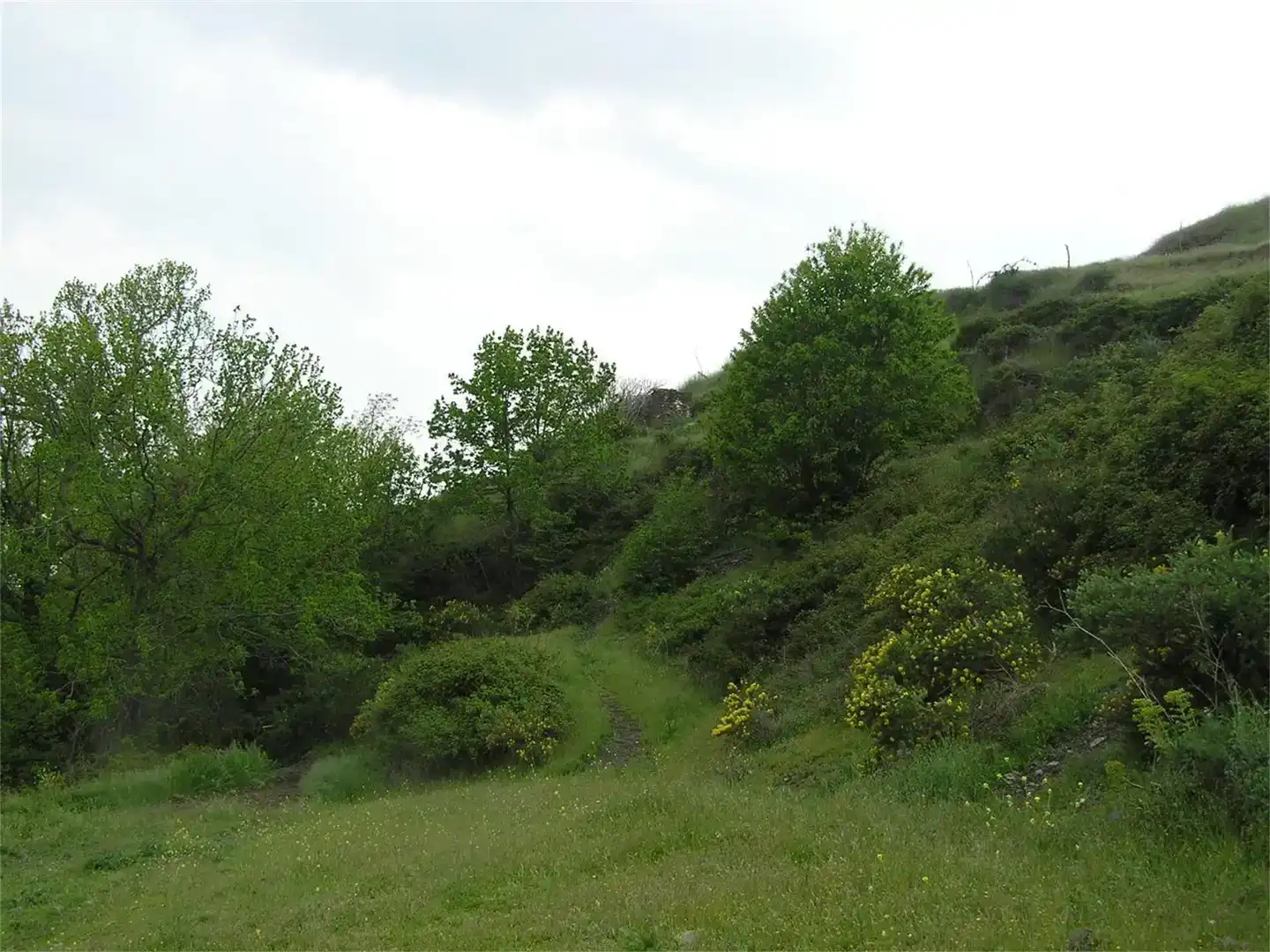 Grundstücke zum Verkauf in Bérchules