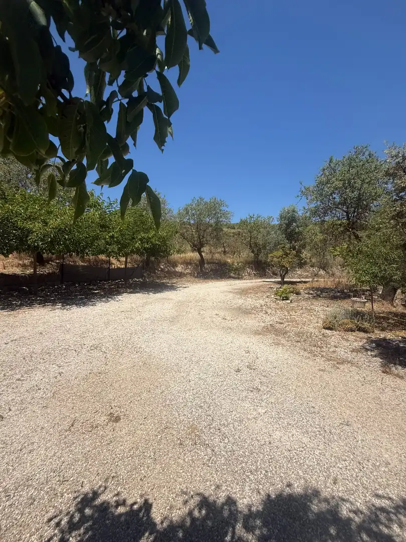 Casa rústica en venta en Buitre 32, imagen 11