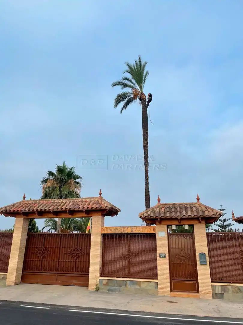 Landhaus mit Pool zum Verkauf in Almoradí, imagen 37
