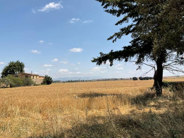 Terreno en Venta en Calle Rincón en Bañares
