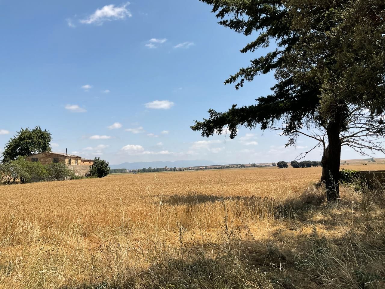 Land for sale in Bañares