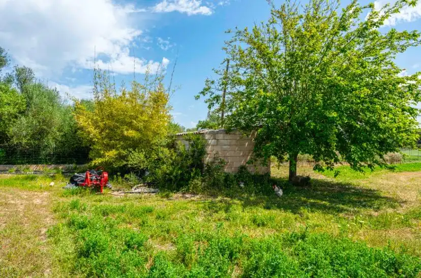 Rural land for sale in Santa Margalida Poble, imagen 13