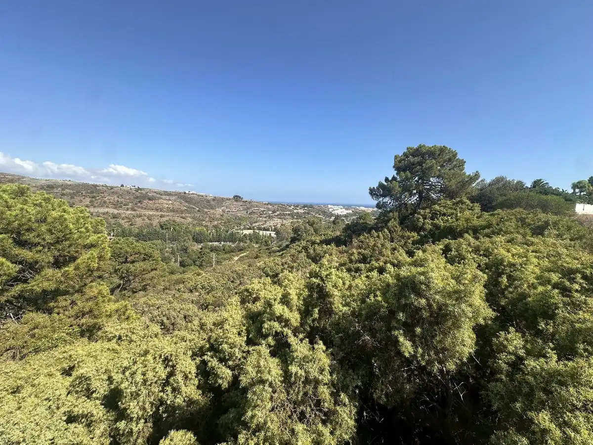 Terreni e lotti in vendita a Benahavís - Benahavís,Centro,Avenida de Andalucia, imagen 6