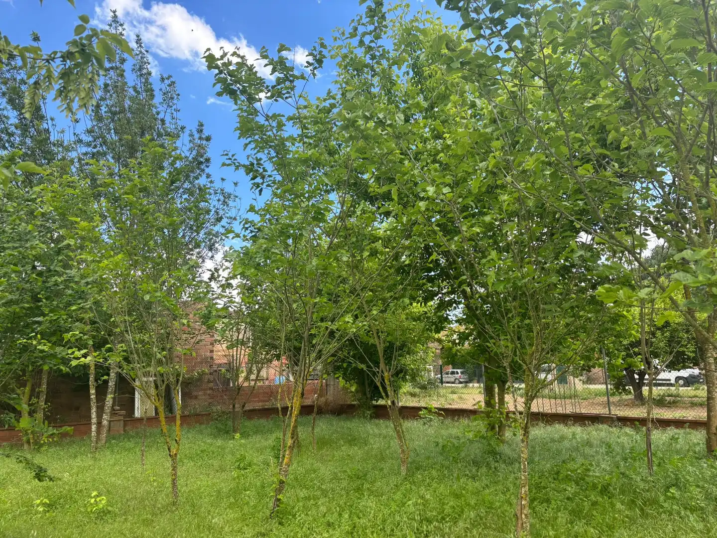 Residencial en venta en Colomers