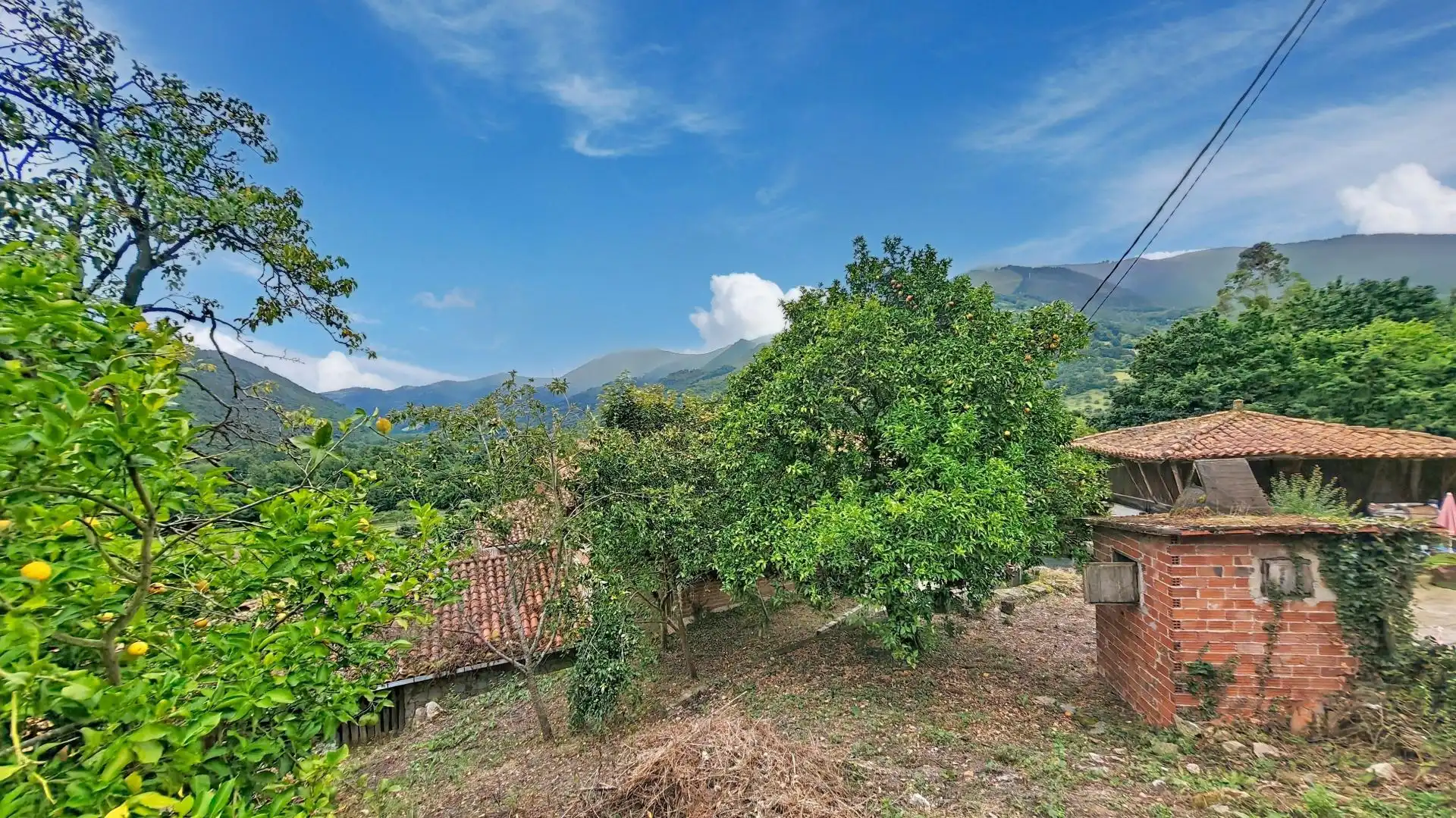 Detached homes for sale in Belmonte de Miranda