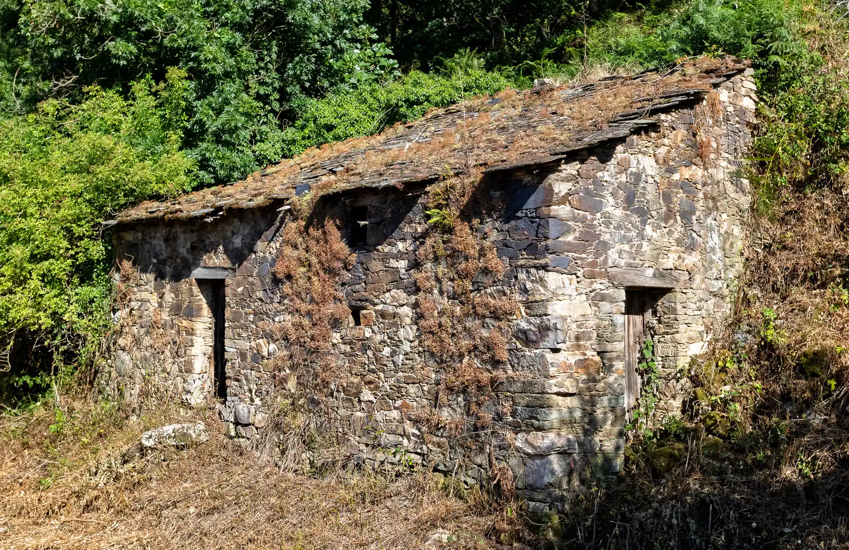 Vista exterior de Finca rústica en venda en Becerreá