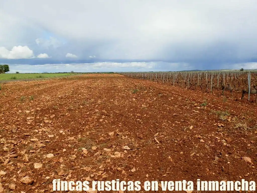 Terreno rustico in vendita a Pozuelo de Calatrava, imagen 11
