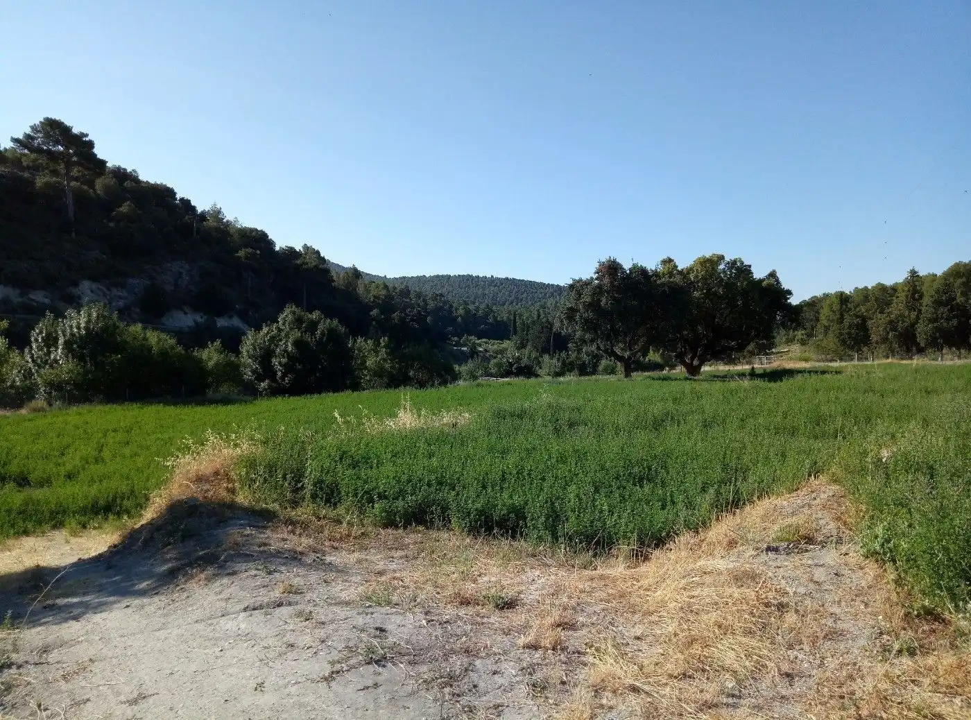 Terreni e lotti in vendita a Huéscar, imagen 69