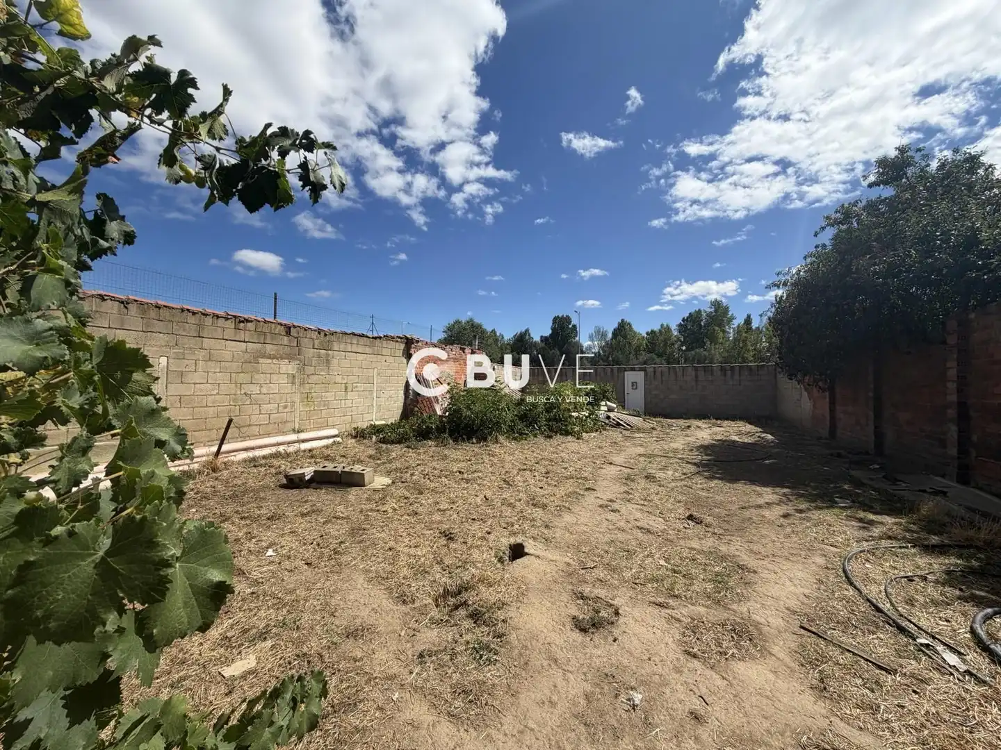 Terreny rústic en venda a SAN PEDRO DEL CASTRO, imagen 5