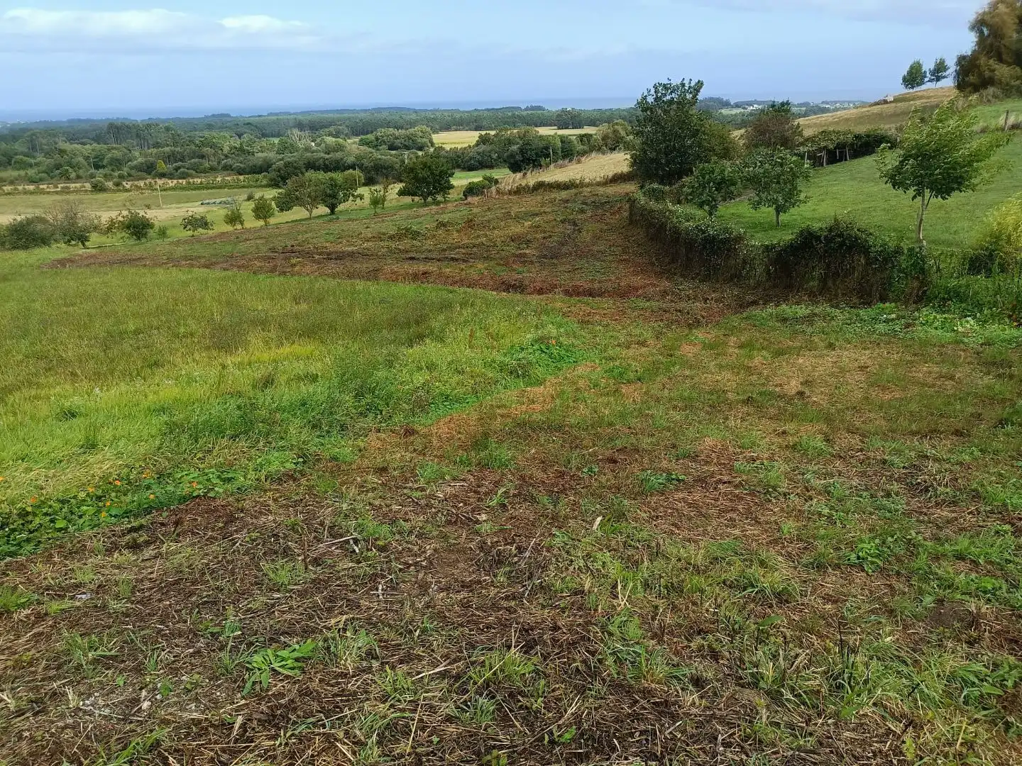 Terrain résidentiel à vendre à TC-5 8, imagen 2