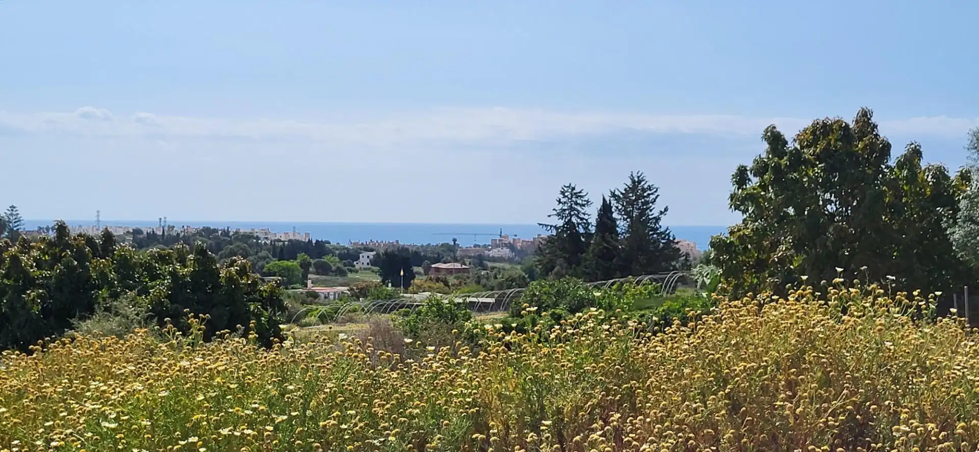 Terreni e lotti in vendita a Punta Plata, imagen 8