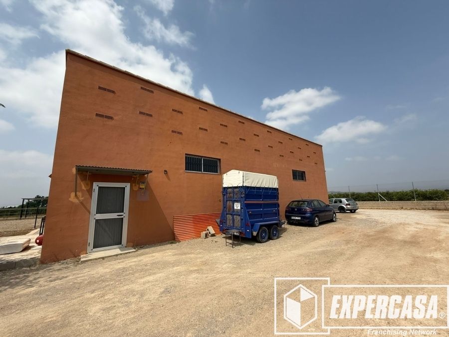 Exterior view of Building for sale in Llíria