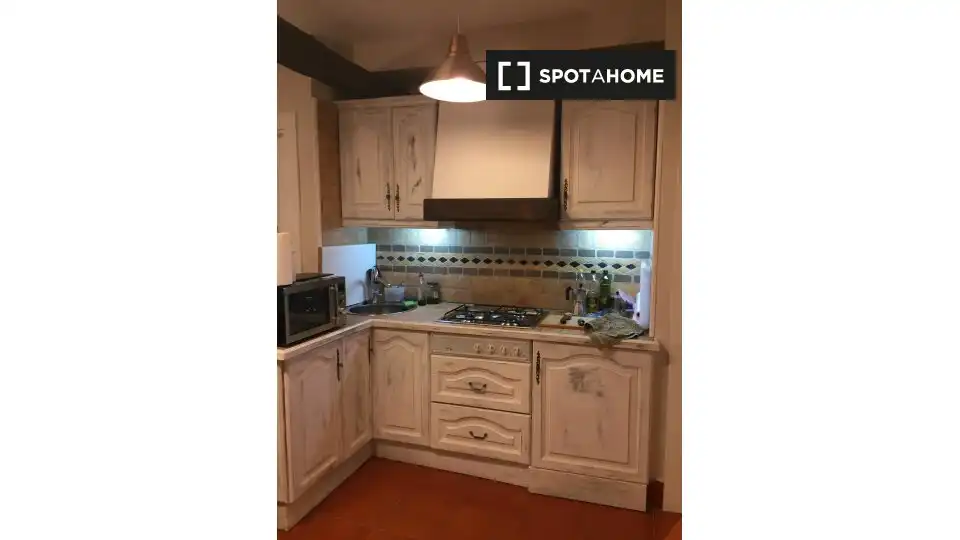 Room in Ibaeta