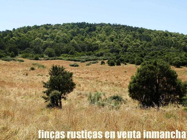 Terreno en Venta en El Real de San Vicente
