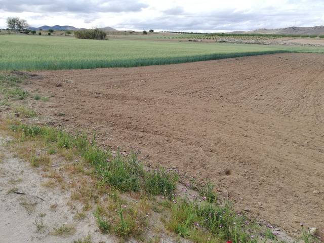 Terreno en Venta en Mora