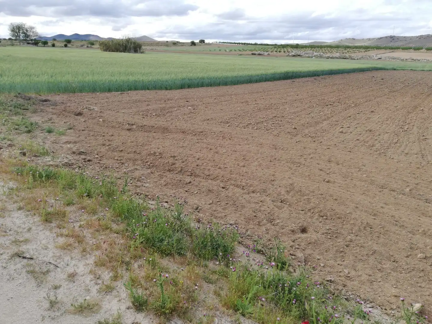 Terrenys i solars en venda a Mora, imagen 5