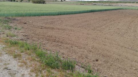 SE VENDE FINCA  RUSTICA, immagine 5