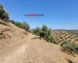 Country house for sale in Pozoblanco  with Storage room