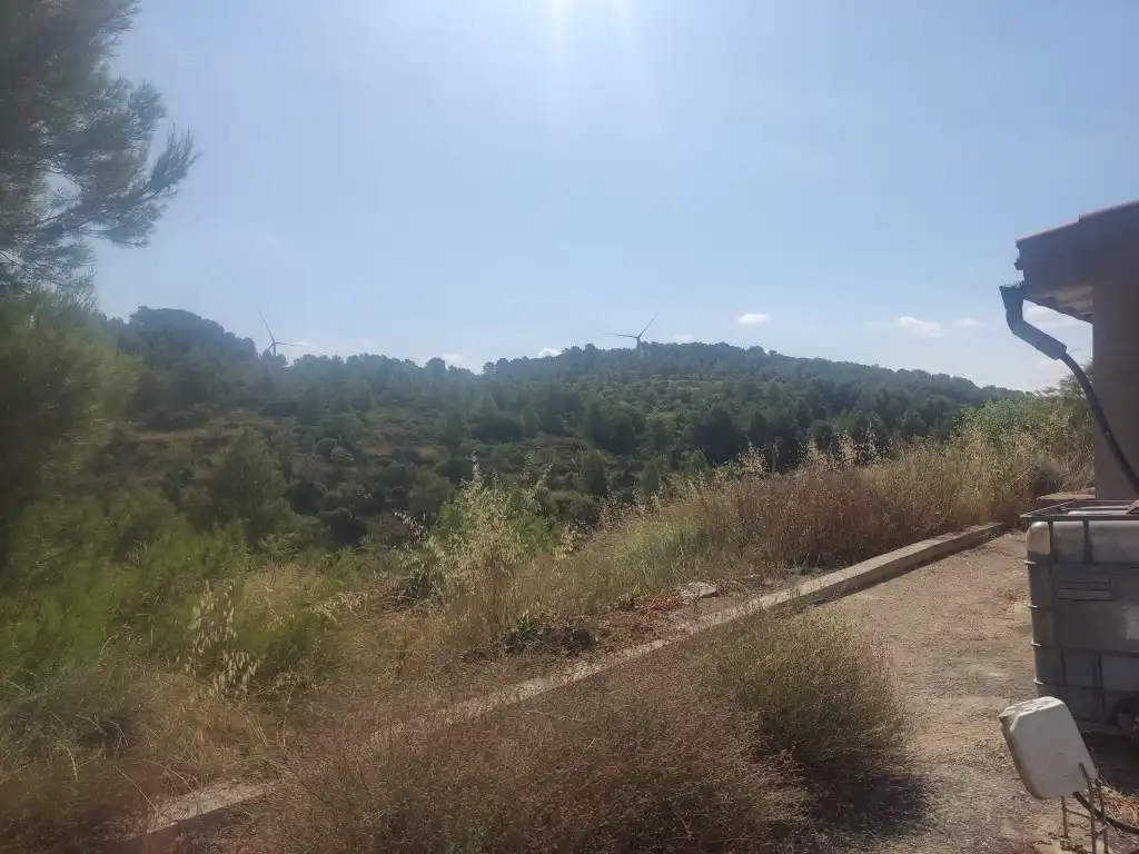 Rural land for sale in Gandesa, imagen 14