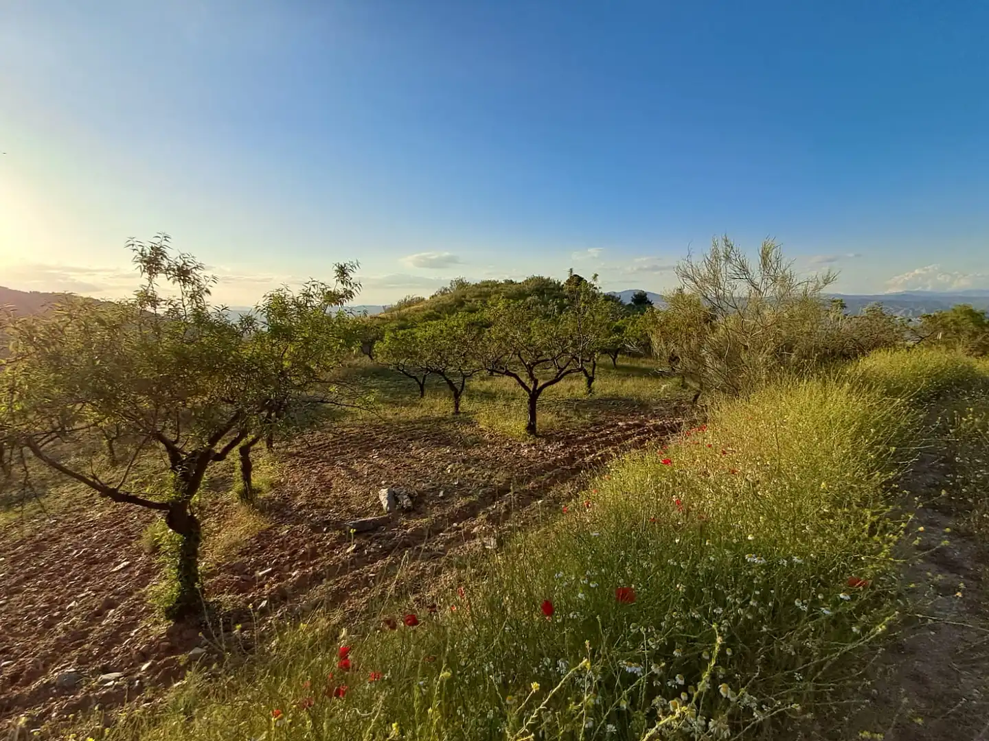 Terreno en venta en Bayarque