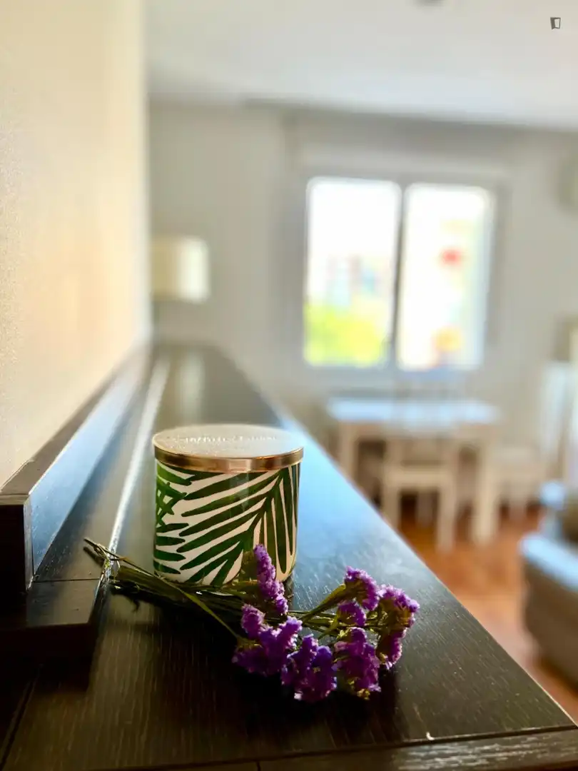 Study for rent in Nueva España