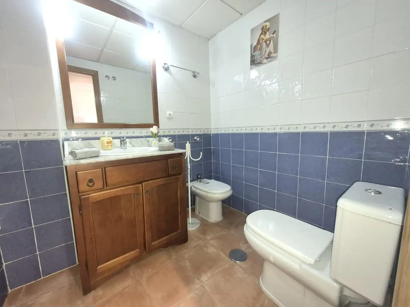 Planta baja en venta en Camino MORO MANCO, Marina de la Torre
