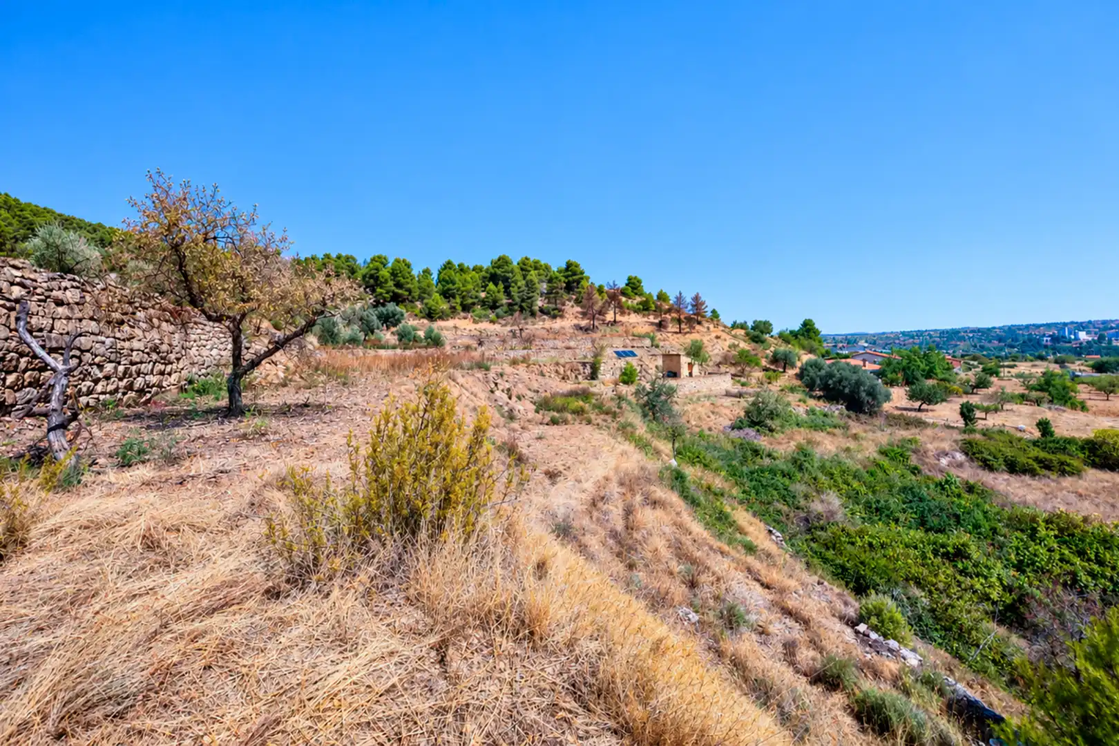 Terreni e lotti in vendita a Valderrobres, imagen 15