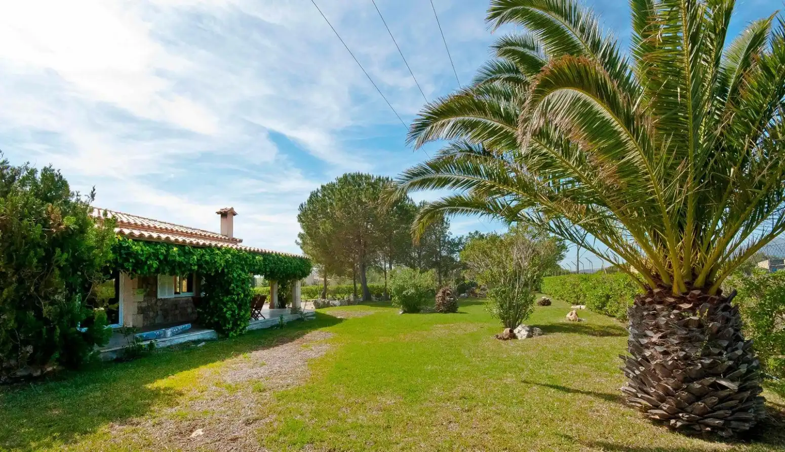 Casa con terraza en alquiler en Pollença - Carrer de Mena, imagen 3