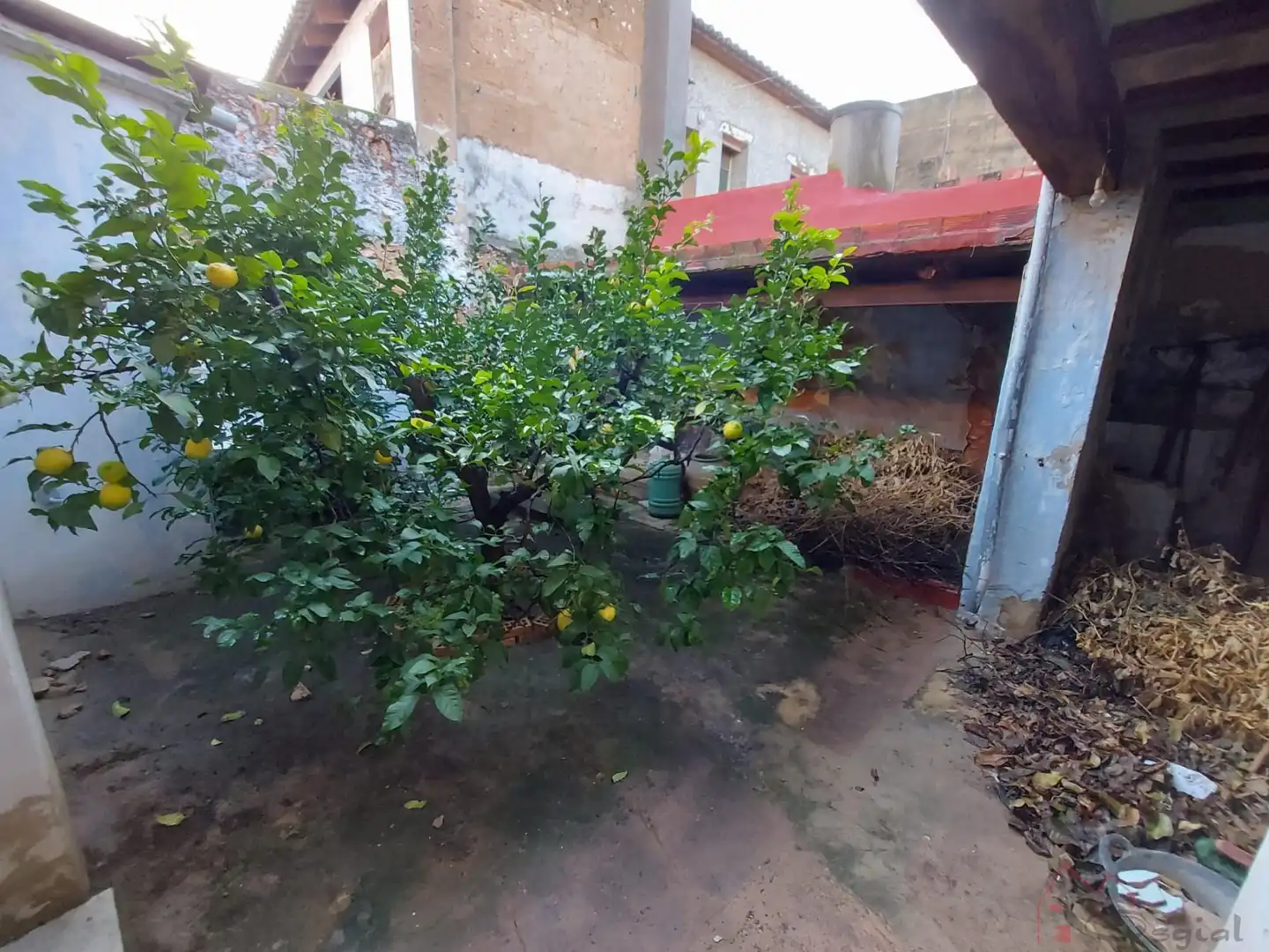 Maison à vendre à Santa ana, imagen 4
