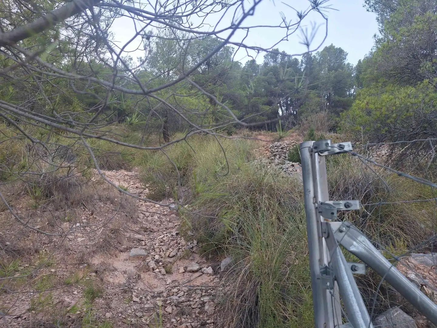 Rural land for sale in Castalla, imagen 10