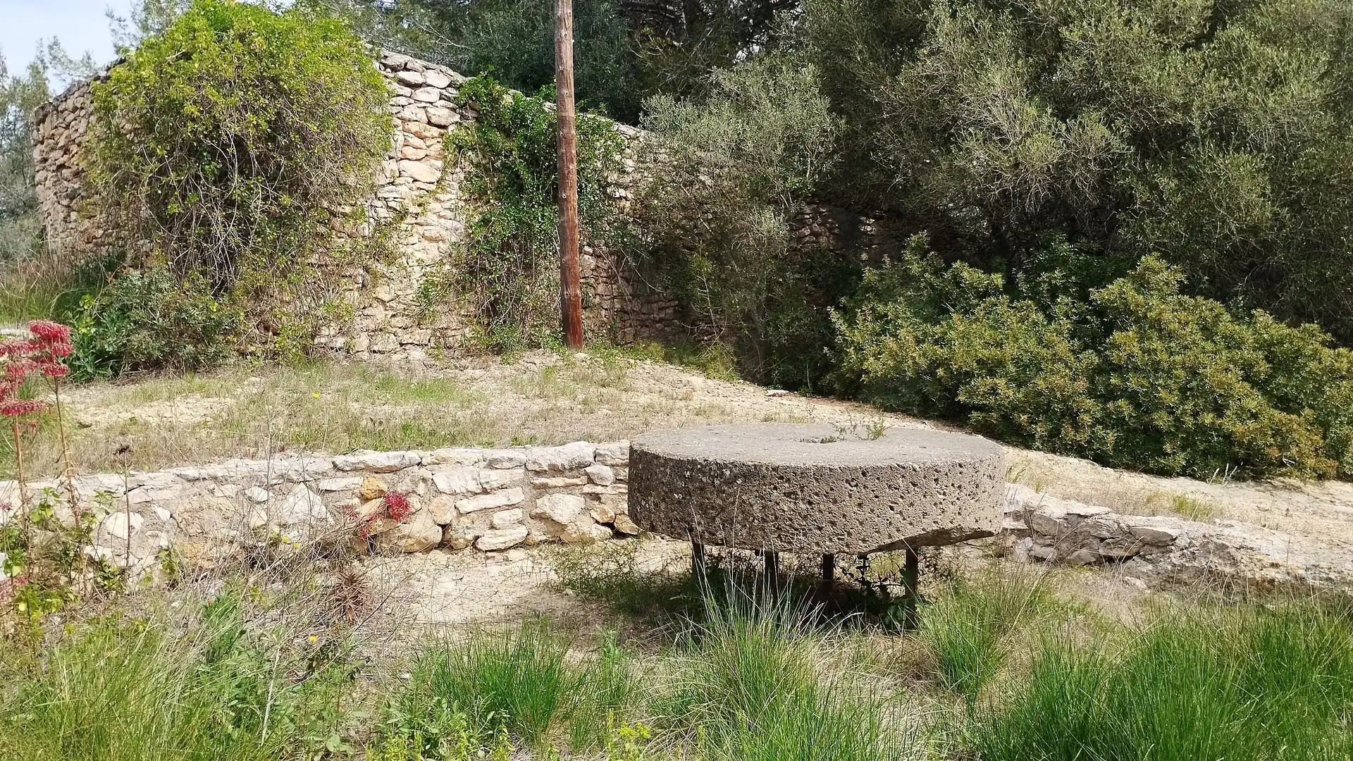 Terreny rústic en venda a El Catllar, imagen 35