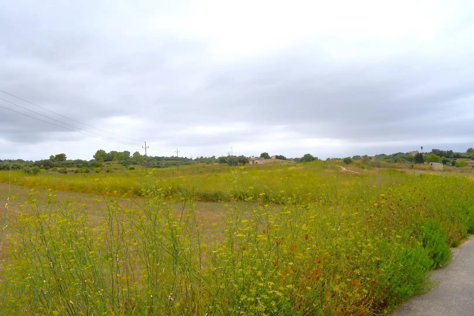 Residential land for sale in Santa Margalida Poble, imagen 18