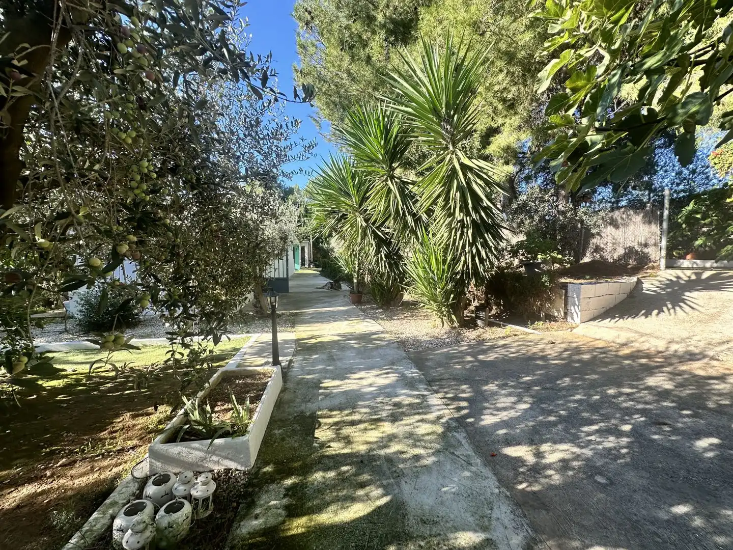 Villa in vendita a Alfara de la Baronia, imagen 54