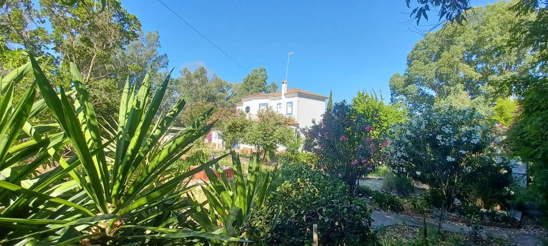 Vista exterior de Casa o chalet en venta en Castilblanco de los Arroyos con Aire acondicionado, Jardín privado y Terraza