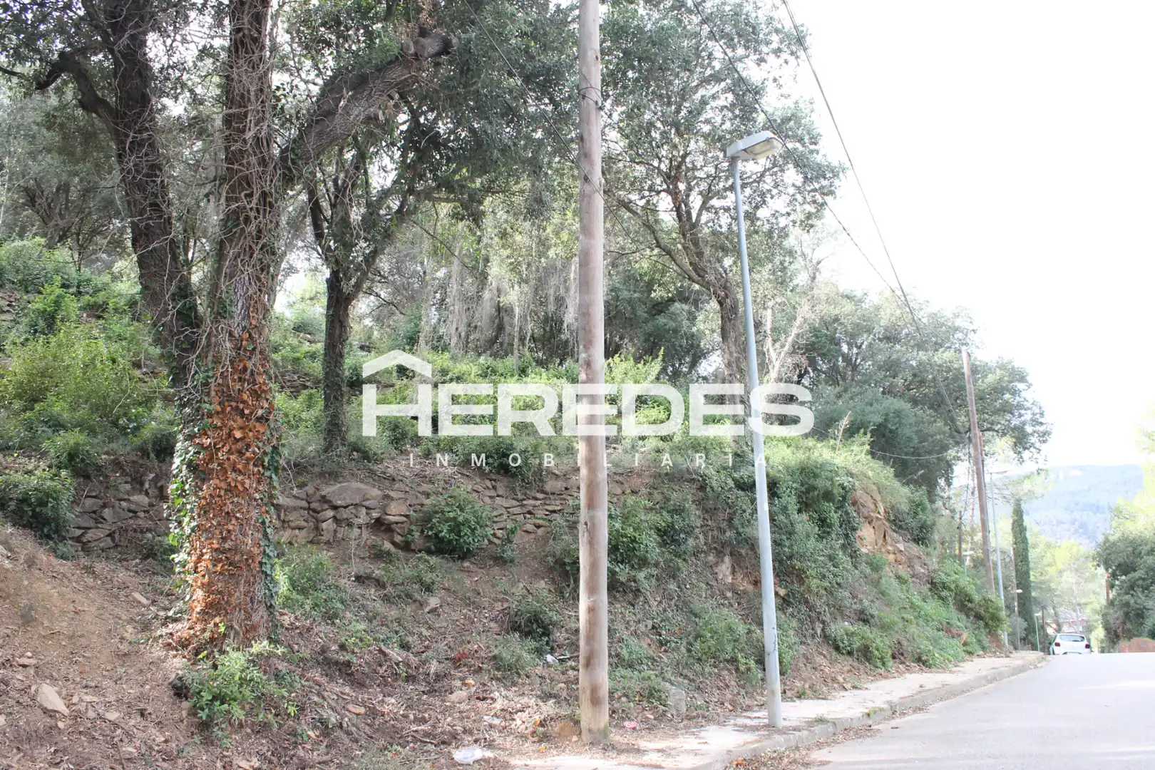 Terreno residencial en venta en Carrer dels Salzes 9, imagen 15