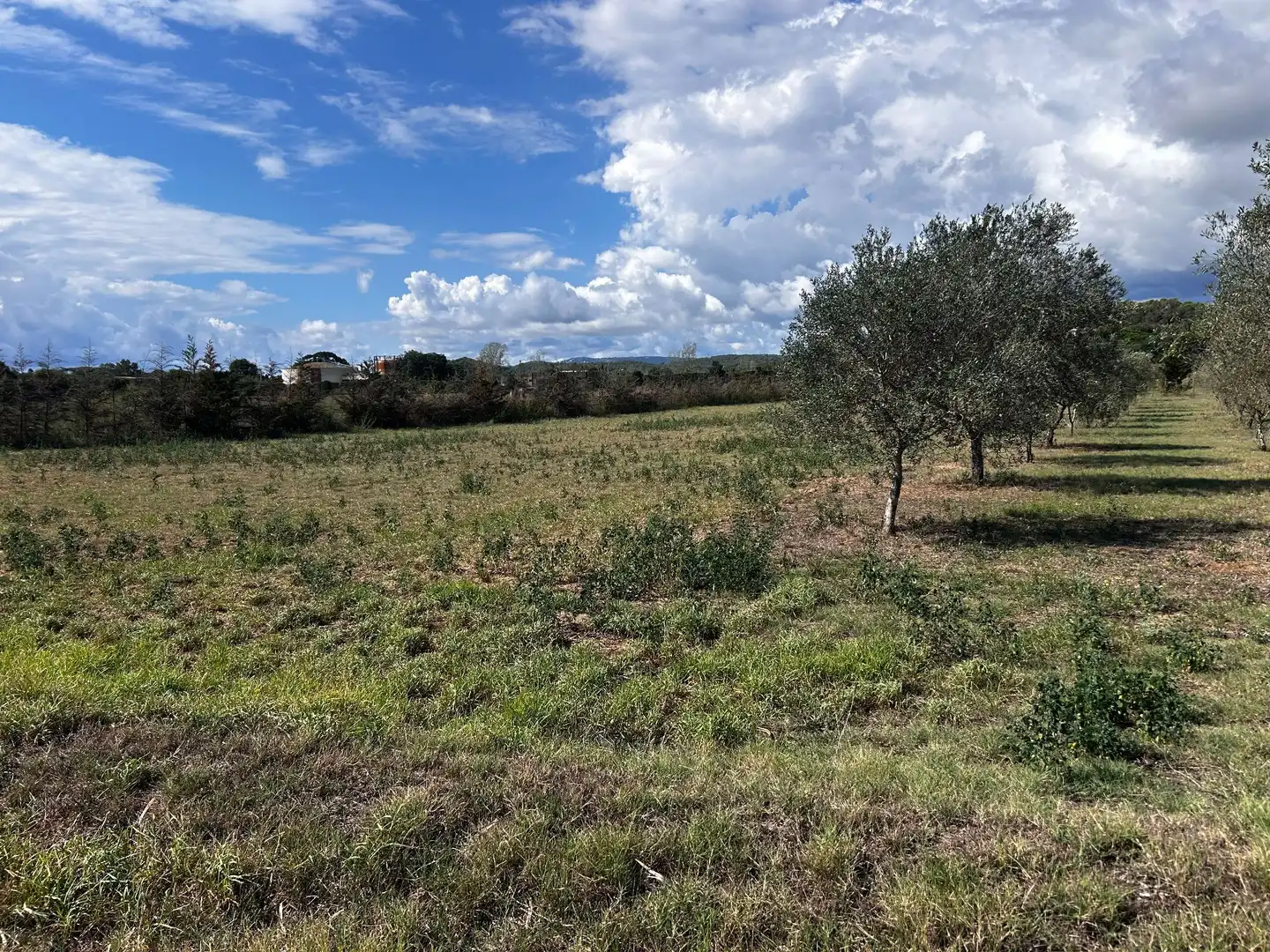 Finca rústica en venta en Palamós con Jardín privado
