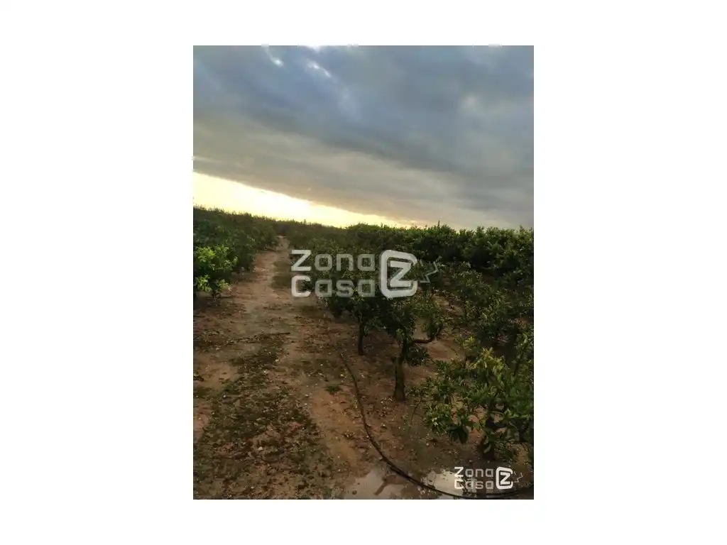 Country house for sale in Algemesí, imagen 4