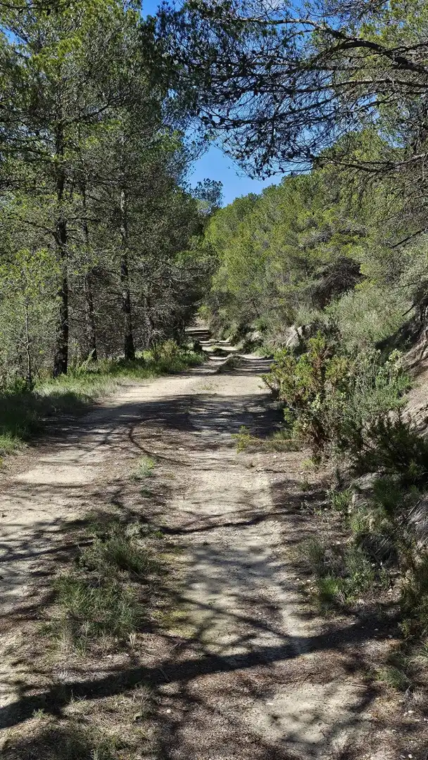 Terrain rustique à vendre à Millena, imagen 15