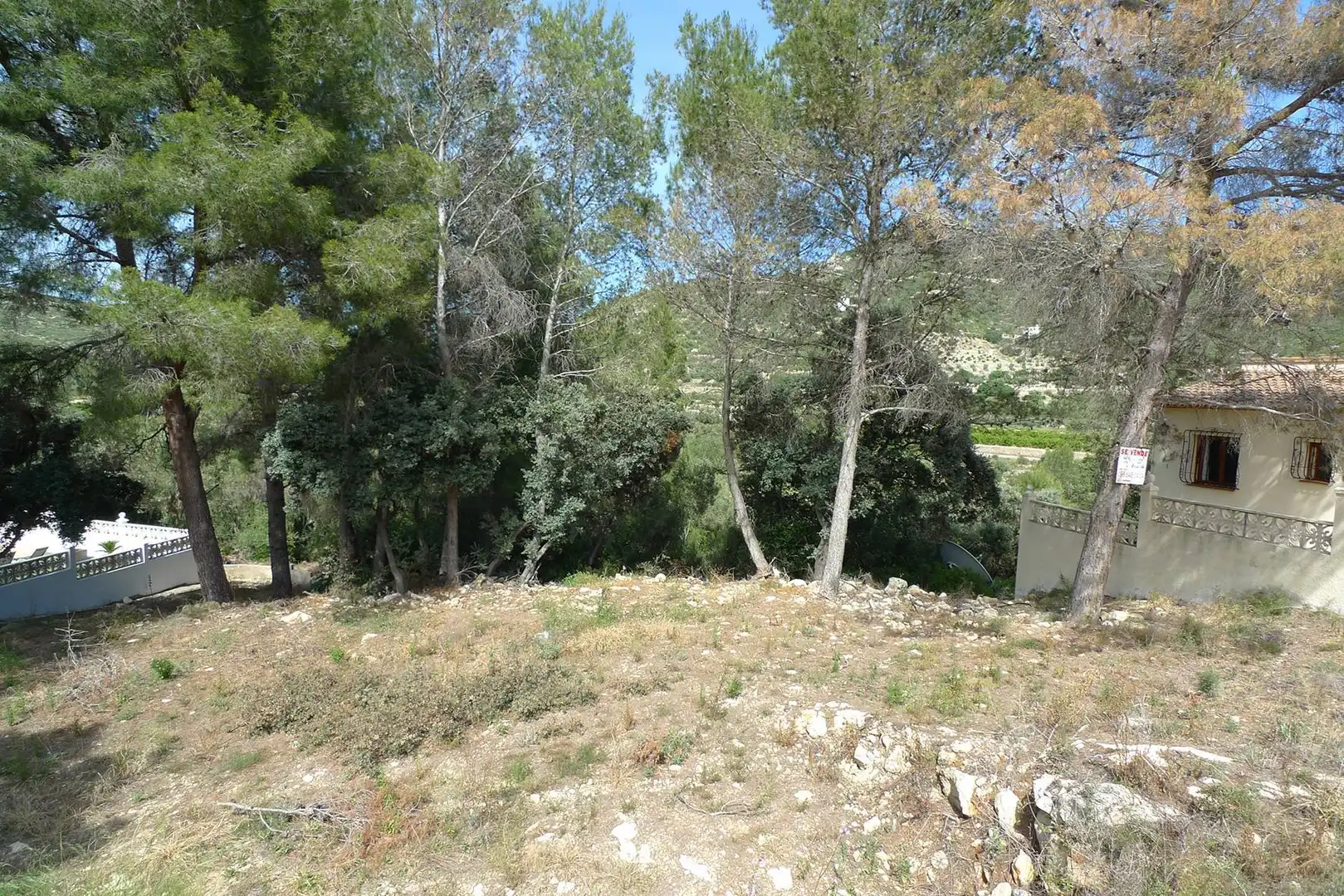 Terreny residencial en venda a Alcalalí, imagen 3