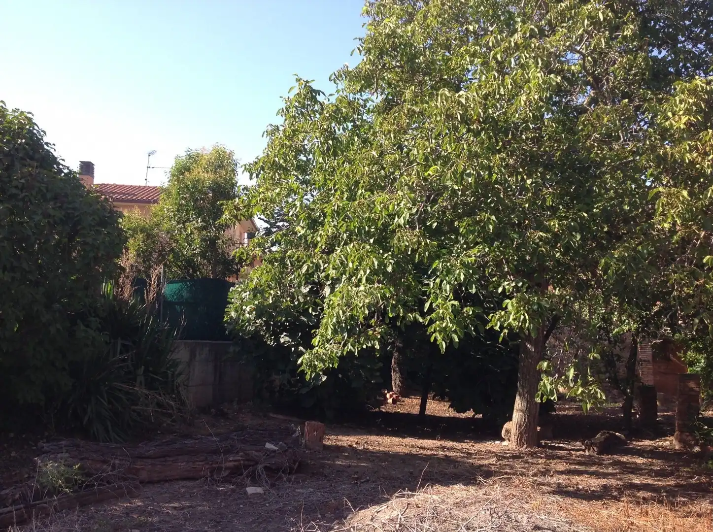 Casa o chalet en venta en Calle Carretas, Alesanco