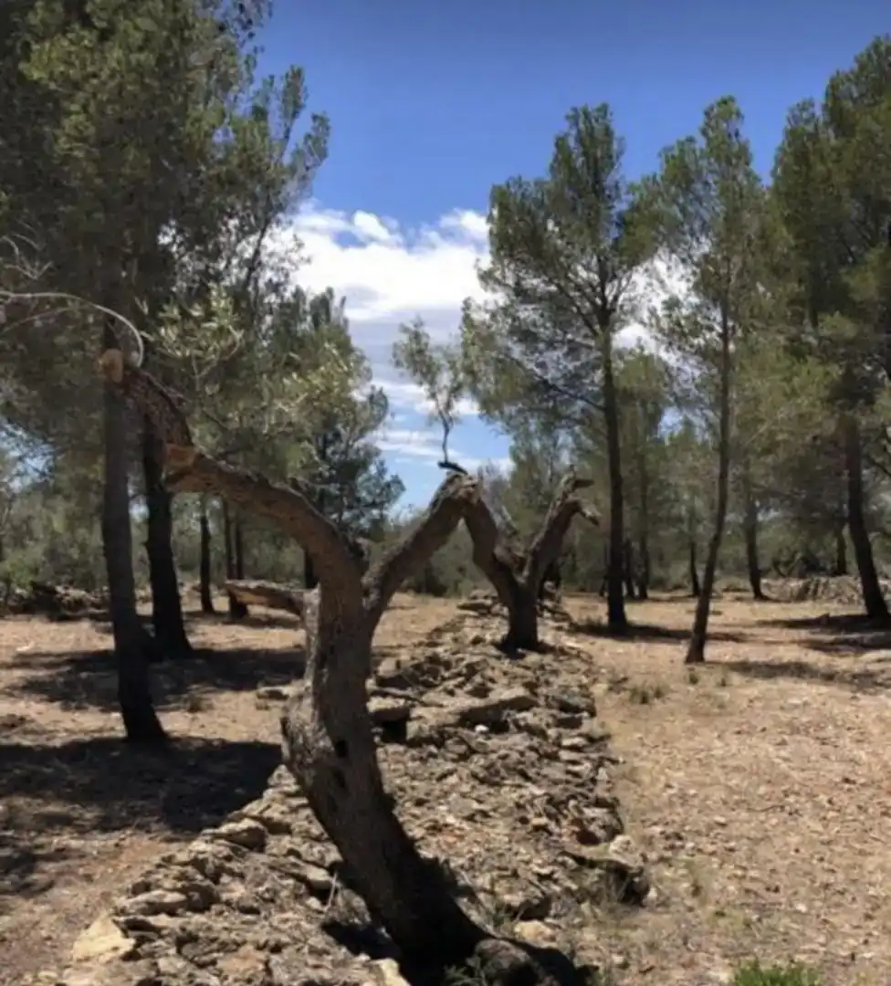 Finca rústica en venda en Vandellòs i l'Hospitalet de l'Infant amb Jardí privat