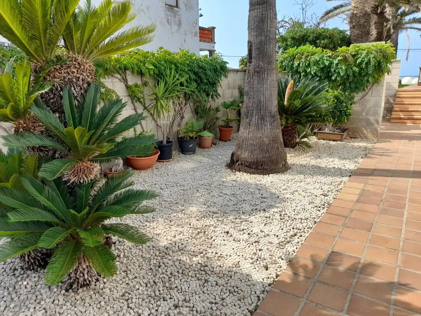 Jardí de Casa o xalet en venda en Dénia amb Aire condicionat, Calefacció i Jardí privat
